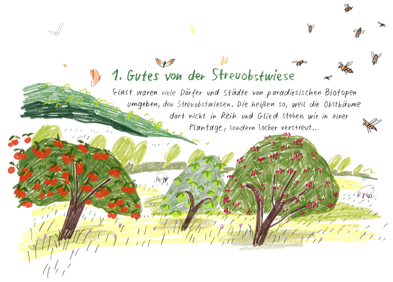 Julia Krusch Greenpeace Magazin